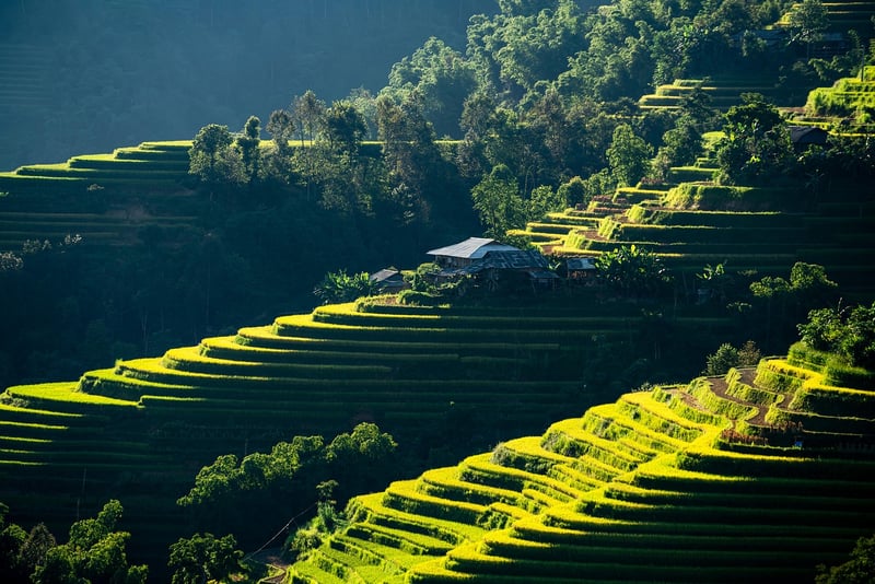 Soft Fabrics in Living Room